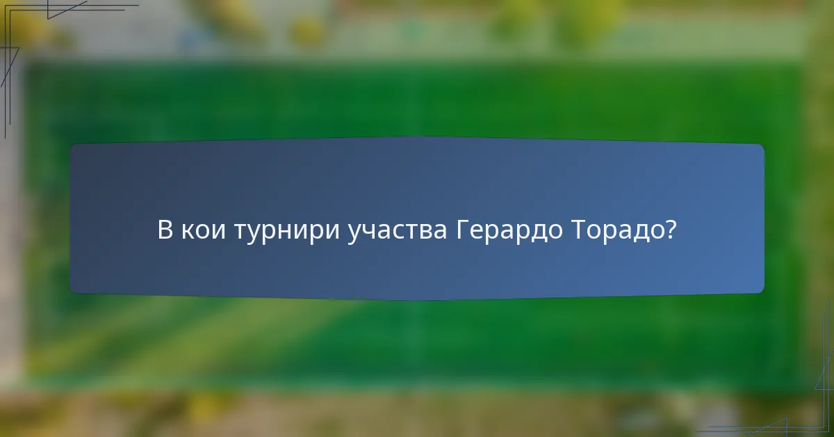 В кои турнири участва Герардо Торадо?